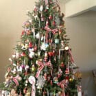 The California Christmas tree