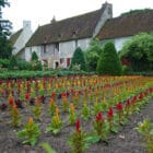 Château de Chenonceau garden
