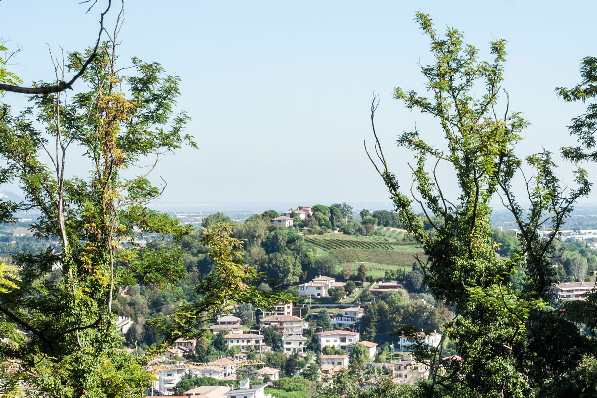 Conegliano countryside