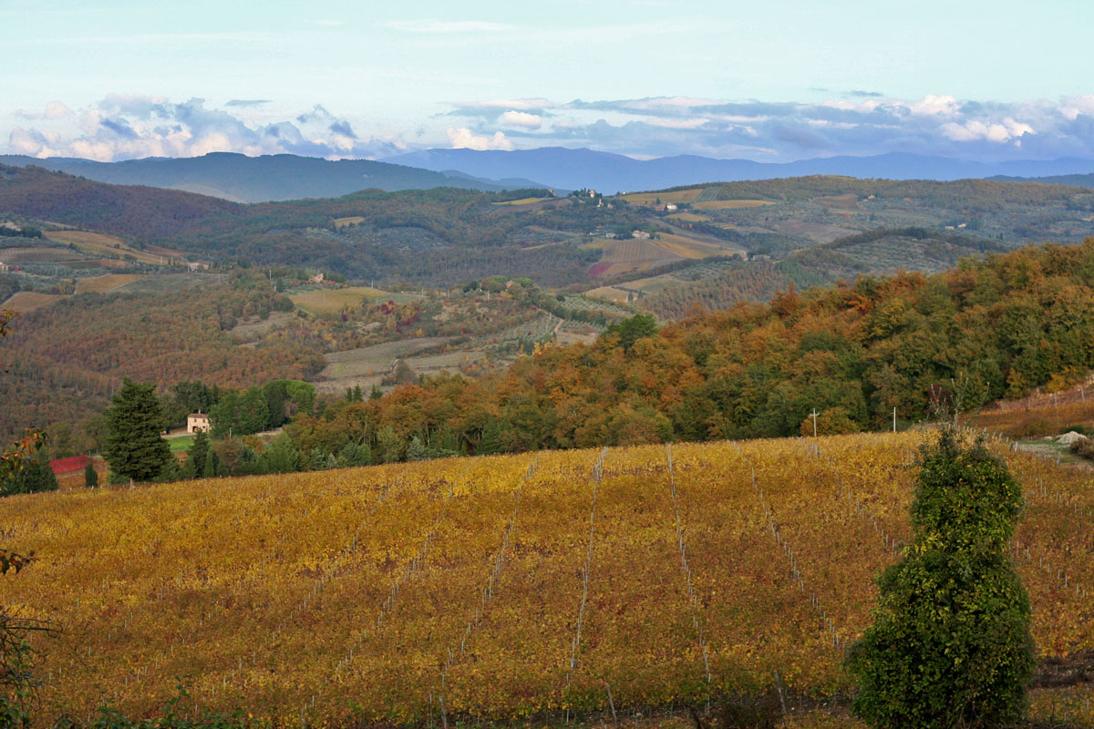 Chianti-countryside004