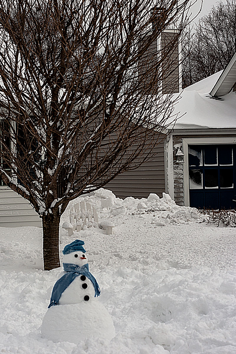 Winter in Northport, NY - 2015