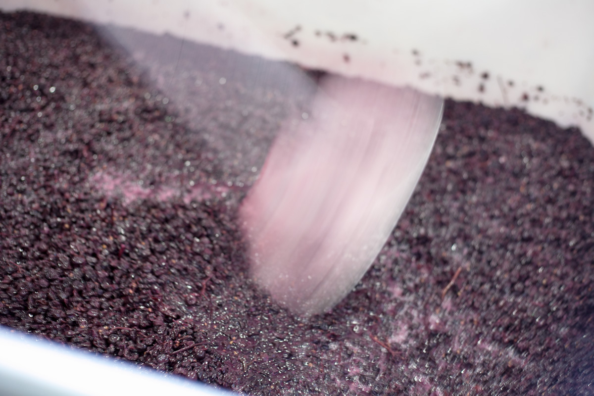 harvest-2015_la-rochelle-winery_099